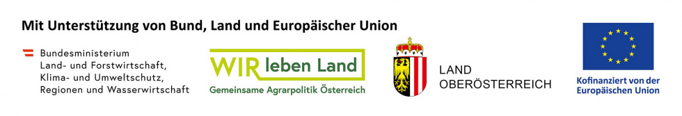 Unternehmerisch stark durch stürmische Zeiten